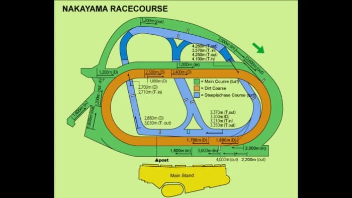 Nakayama Racecourse: A Jewel in Japanese Horse Racing