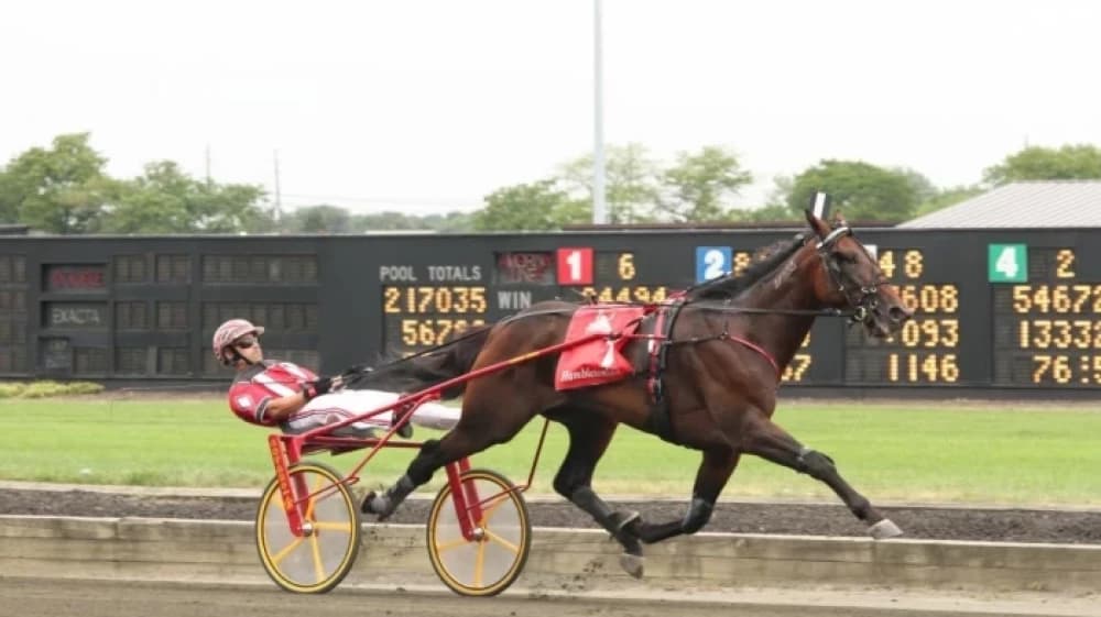 Hambletonian: The Legendary Stallion Who Redefined Harness Racing Hambletonian: The Legendary Stallion Who Redefined Harness Racing