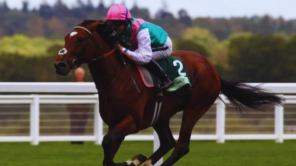 Frankel: The Undefeated Legend Who Redefined Horse Racing Frankel: The Undefeated Legend Who Redefined Horse Racing