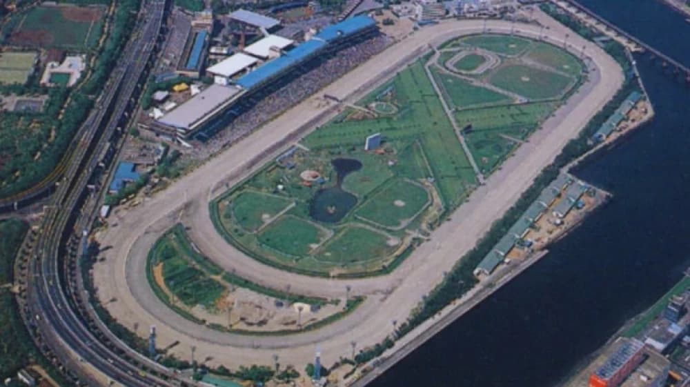 Tokyo Racecourse: The Crown Jewel of Japanese Horse Racing