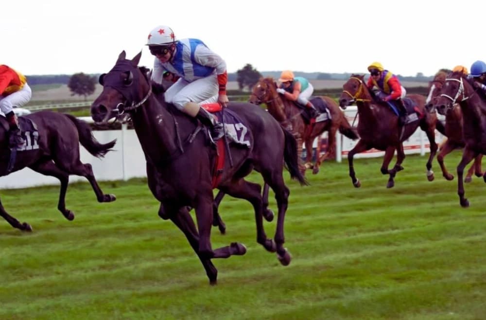 Soldier's Heart Dominates Ripon Champion Two Yrs Old Trophy Soldier's Heart Dominates Ripon Champion Two Yrs Old Trophy