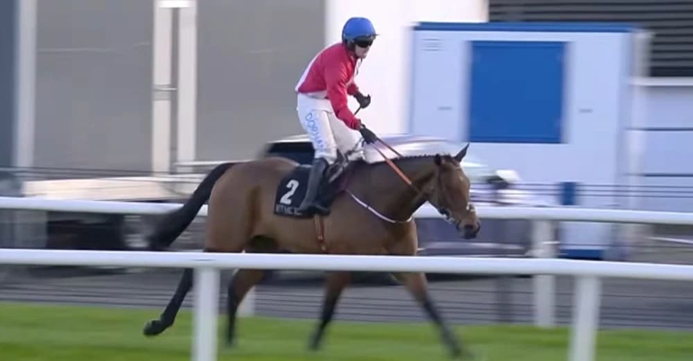 Envoi Allen Set For Bold Final Bid In Cheltenham Gold Cup Envoi Allen Set For Bold Final Bid In Cheltenham Gold Cup