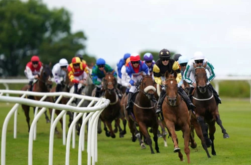 Carlisle Mixed Racecourse: A Premier Racing Venue