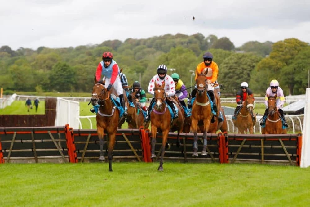 Experience the Charm of Cartmel Racecourse