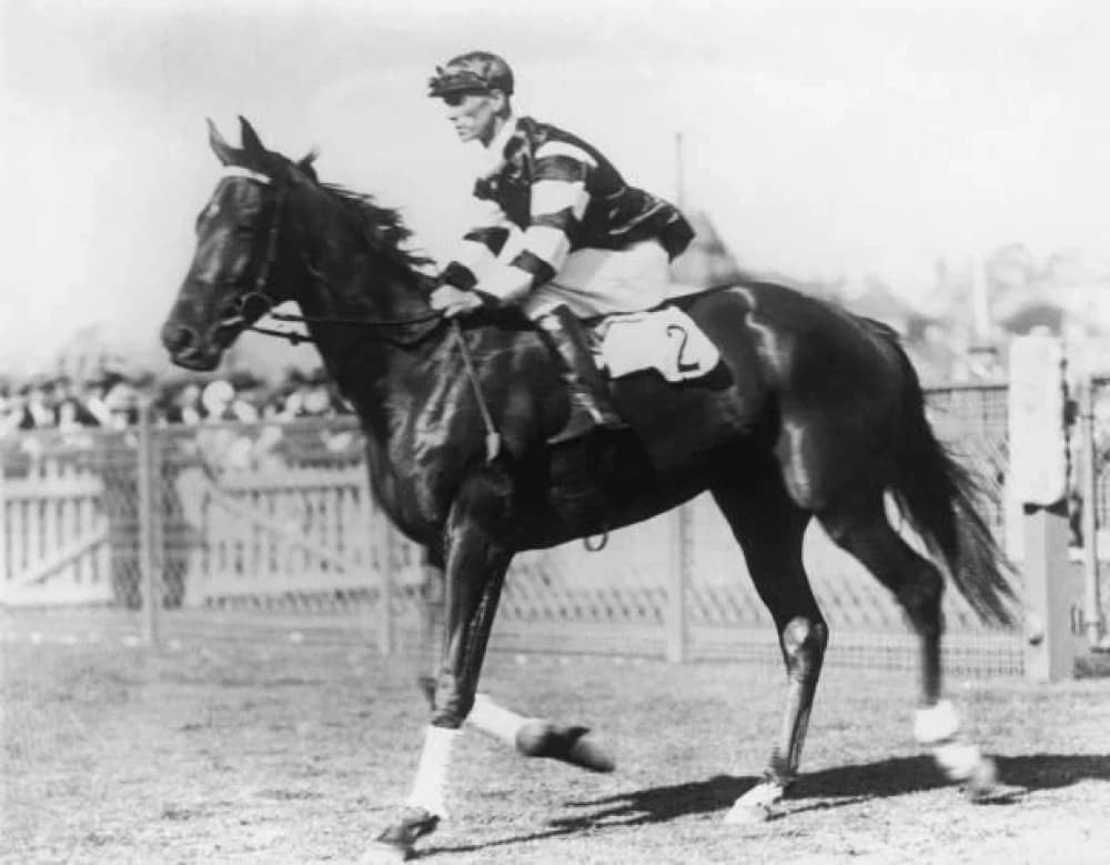 Phar Lap: Australia’s Legendary Racehorse Phar Lap: Australia’s Legendary Racehorse