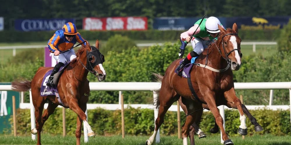 Willie Mullins out to emulate father Paddy in Irish Oaks with Lope De Lilas