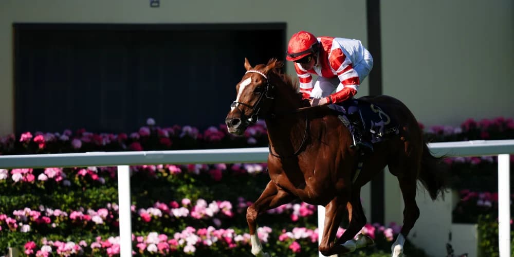 Hand Of God scores Golden Gates winner for Harry Charlton