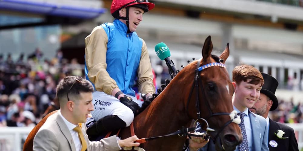 Shareholder dividends boosted by smooth Norfolk success