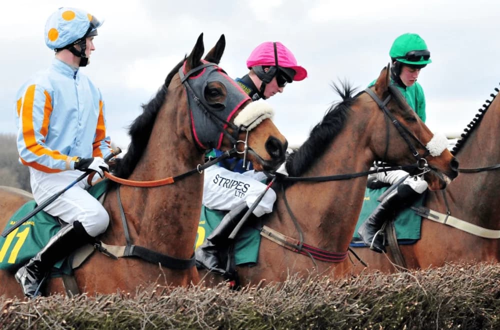 Soprano Poised for Value Play in Competitive QE II Challenge Cup at Keeneland Soprano Poised for Value Play in Competitive QE II Challenge Cup at Keeneland