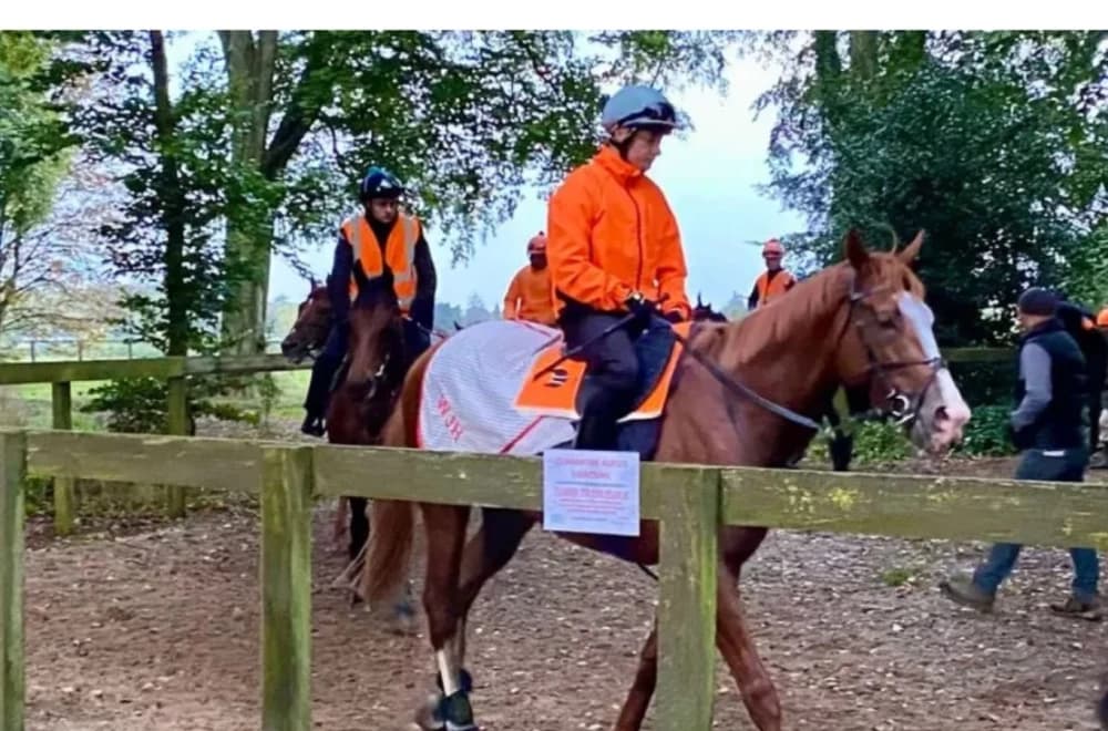 All Systems Go for Big Evs Can the Reigning Champ Repeat at the Breeders' Cup? All Systems Go for Big Evs Can the Reigning Champ Repeat at the Breeders' Cup?