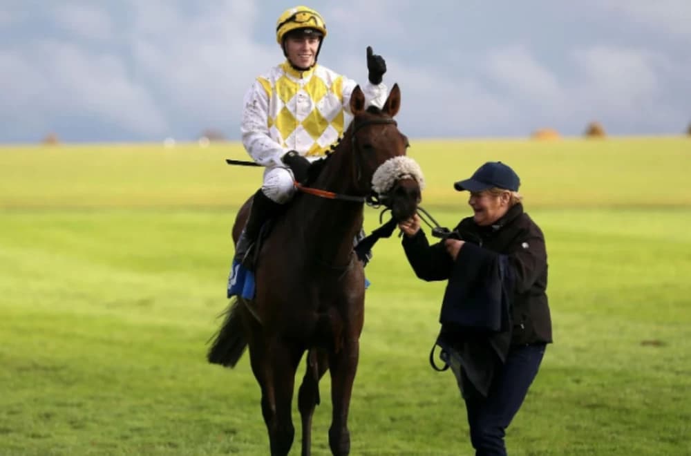 Alphonse Le Grande Loses Cesarewitch After Jockey's Whip Rule Breach Alphonse Le Grande Loses Cesarewitch After Jockey's Whip Rule Breach