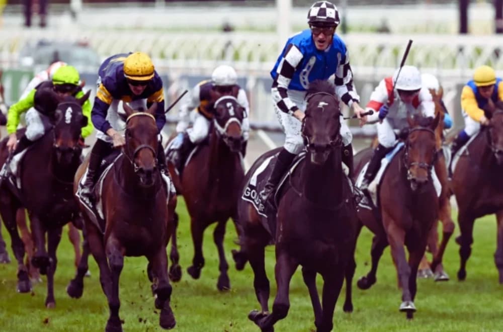 Melbourne Cup Faces Calls for End Amid Rising Concerns Over Animal Welfare