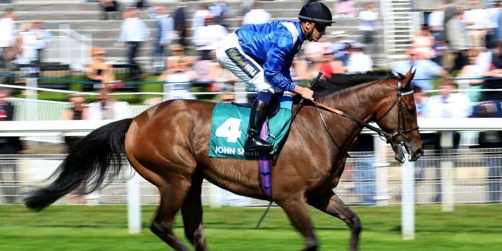 Anmaat's Haydock Heroics: Trainer Burrows Plots Path to Racing Greatness