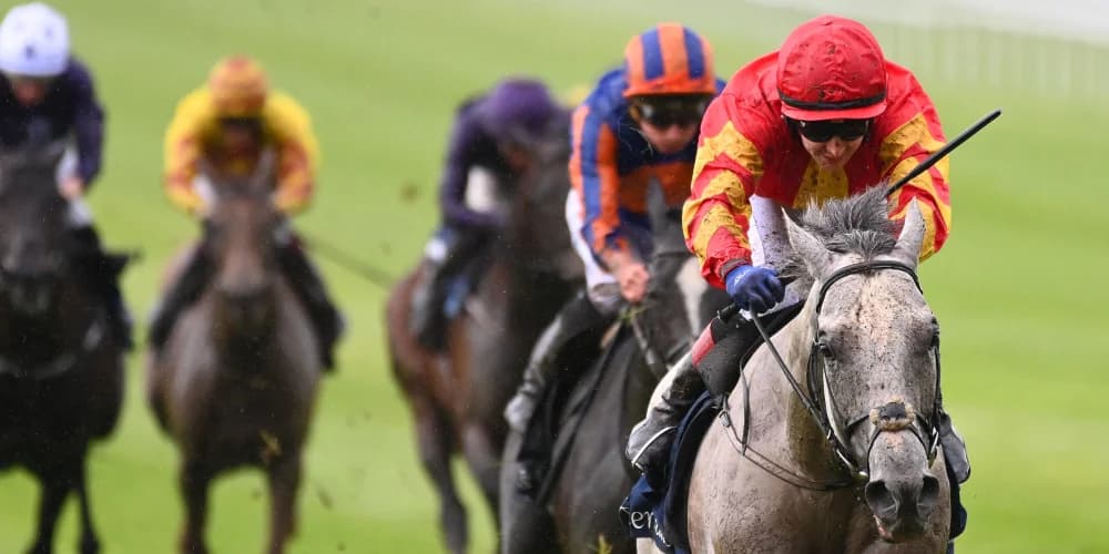 Eclipse possibility for Royal Ascot absentee White Birch