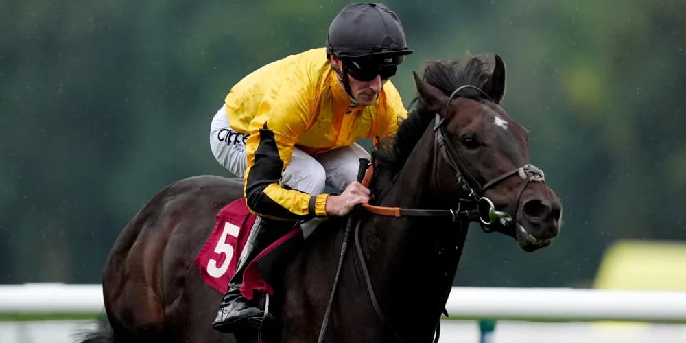 Luther never too much for Fellowes at Haydock Luther never too much for Fellowes at Haydock