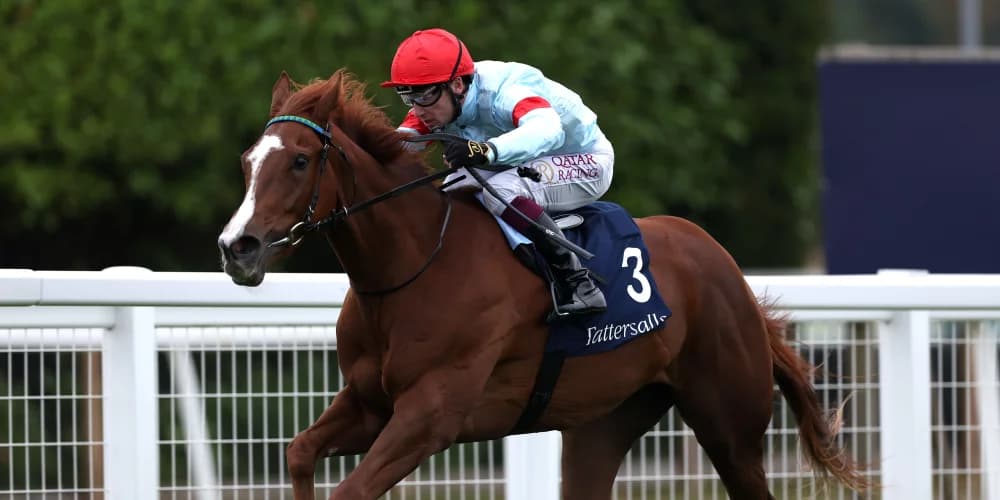 Flight jets home to prompt May Hill thoughts for Sangster Flight jets home to prompt May Hill thoughts for Sangster