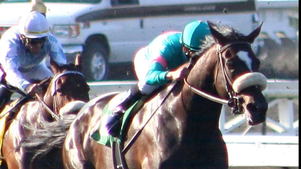 Zenyatta: The Queen of Thoroughbred Racing Zenyatta: The Queen of Thoroughbred Racing