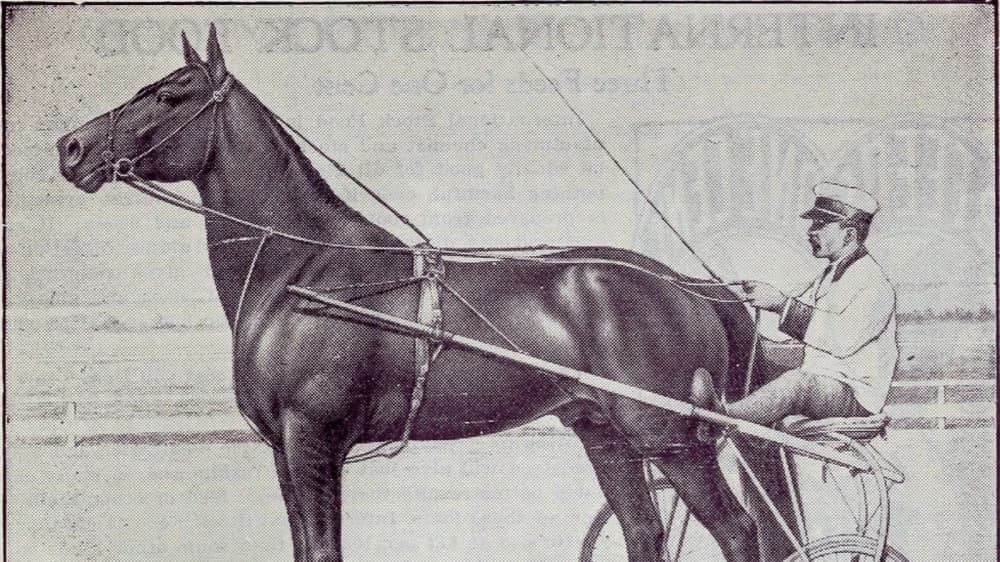 Dan Patch: The Undefeated Champion Who Became a Legend Dan Patch: The Undefeated Champion Who Became a Legend