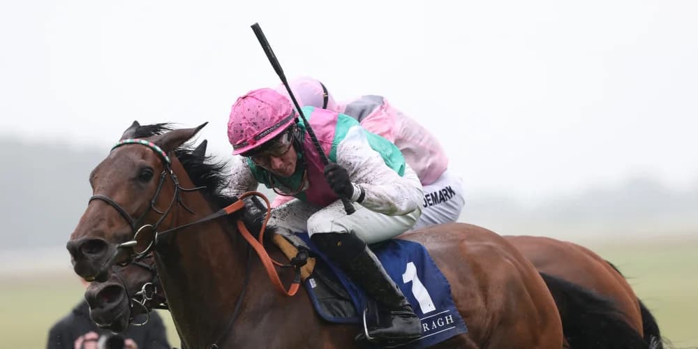 Beckett biding his time on Bluestocking King George decision