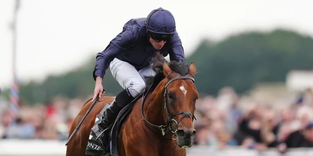 Southwell offer free entry for City Of Troy Breeders’ Cup gallop Southwell offer free entry for City Of Troy Breeders’ Cup gallop