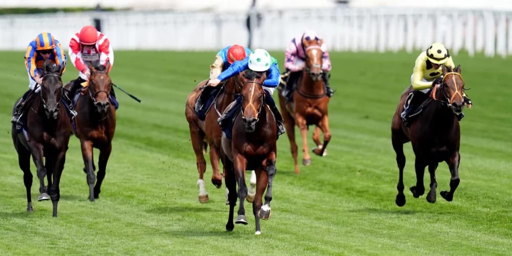 Rashabar's Next Move: Stretching Out to Seven Furlongs with 2000 Guineas in Sight Rashabar's Next Move: Stretching Out to Seven Furlongs with 2000 Guineas in Sight