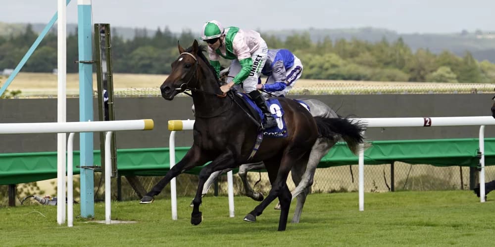 Charlie Hills Sends Two Contenders to Kentucky Downs for Graded Races Charlie Hills Sends Two Contenders to Kentucky Downs for Graded Races