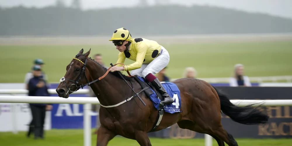 Poet Master leads the way for Burke in Minstrel Stakes