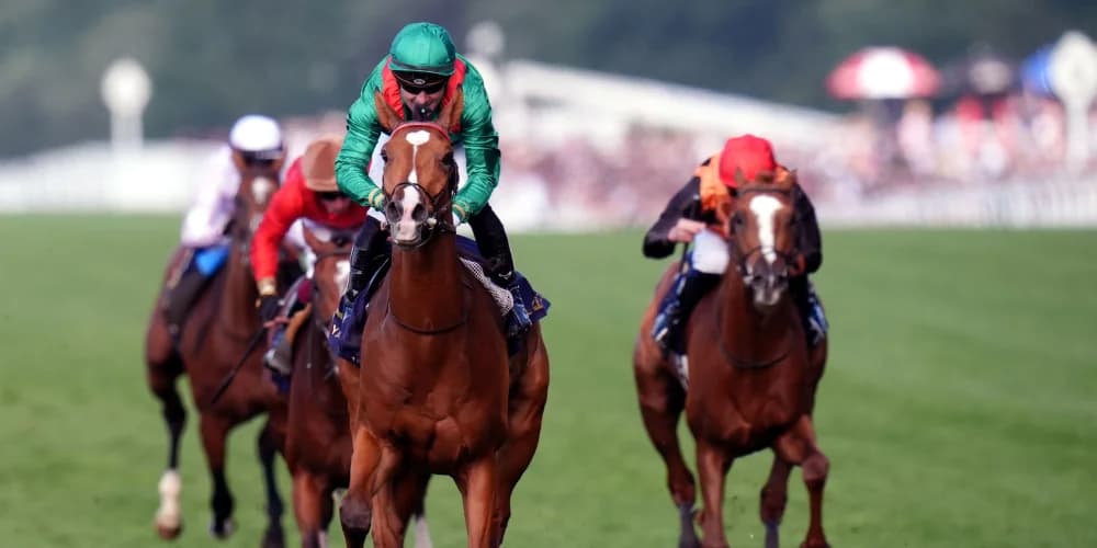 Calandagan cruises to King Edward victory