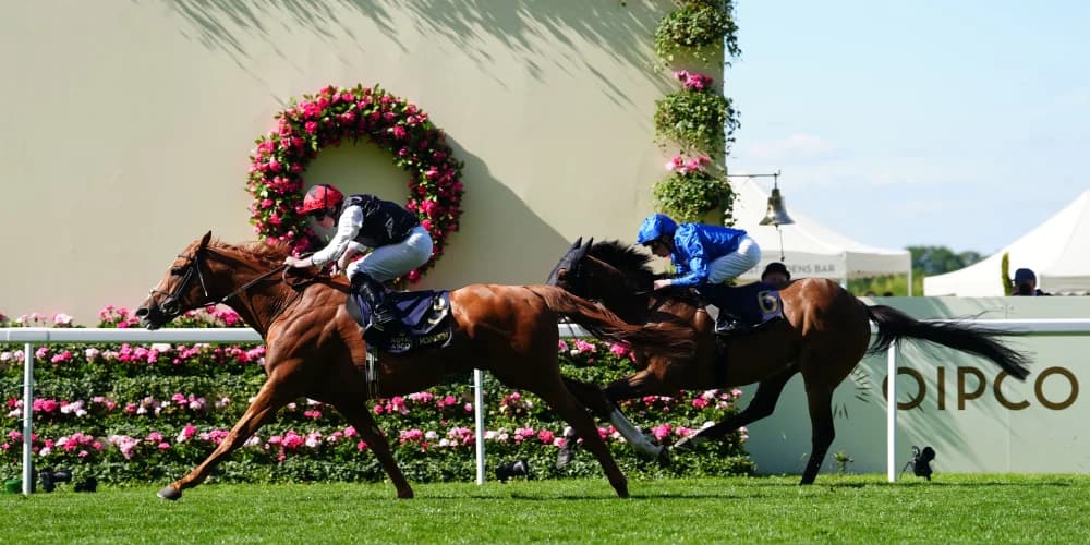 Gosden pays tribute to Trawlerman after ‘proper duel’ with Kyprios