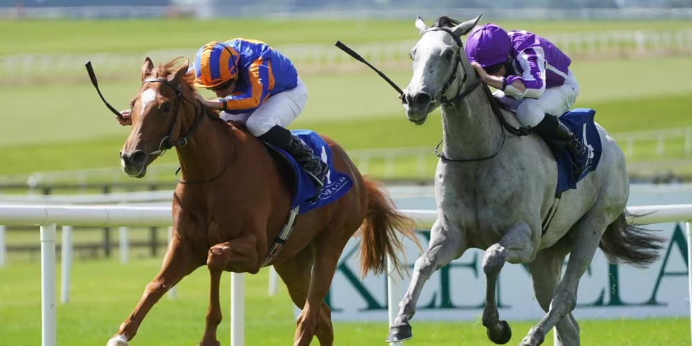 Snow forecast to be seen at the Curragh next Snow forecast to be seen at the Curragh next