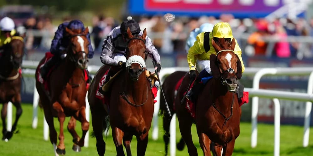 Nakheel gallops on gamely to plunder Park Hill spoils Nakheel gallops on gamely to plunder Park Hill spoils