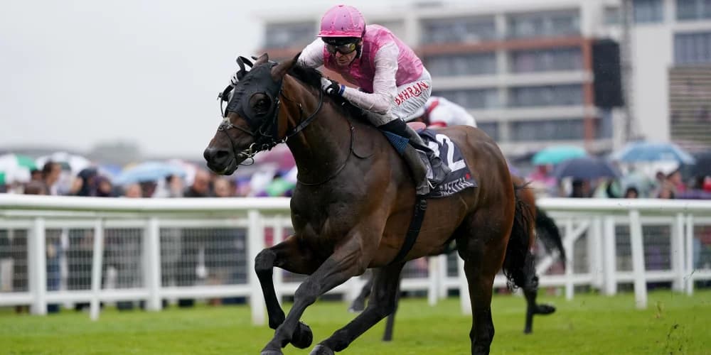 Sweet William out to take the big prize in Doncaster Cup Sweet William out to take the big prize in Doncaster Cup