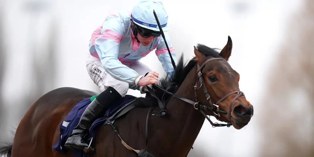 Pandora’s Gift Eyes Further American Ventures After Narrow Defeat in Presque Isle Downs Masters Stakes Pandora’s Gift Eyes Further American Ventures After Narrow Defeat in Presque Isle Downs Masters Stakes