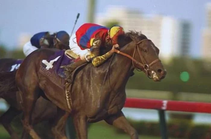 A.P. Indy: A Racing Legend and Influential Sire