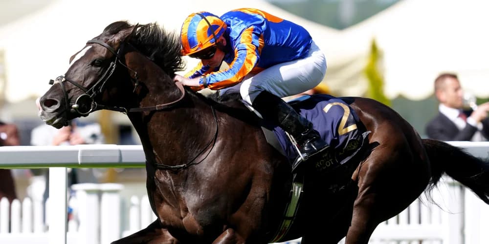 All systems go for Auguste Rodin in the King George