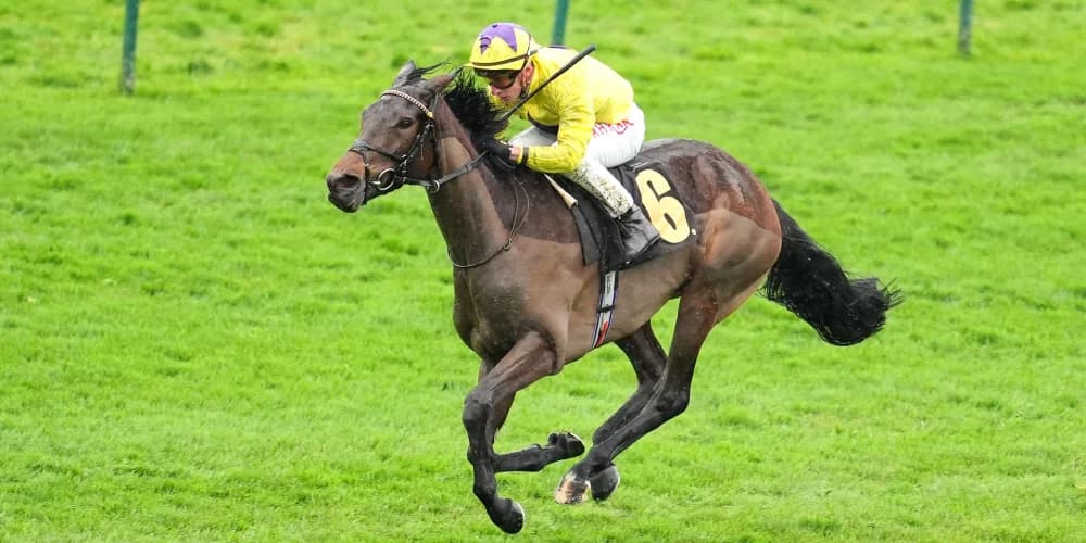 All eyes on exciting Sea Just In Time at Goodwood