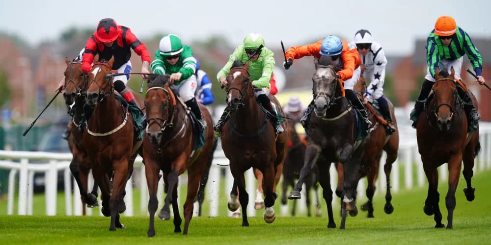 Eustace predicting bright future for Time For Sandals Eustace predicting bright future for Time For Sandals