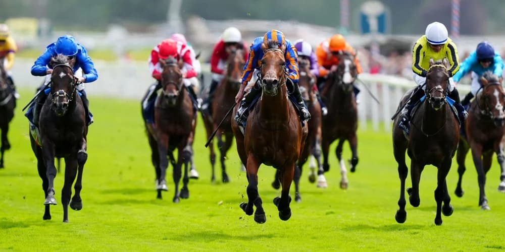 James Owen Eyes Promising Future for Wimbledon Hawkeye After Strong Acomb Stakes Performance