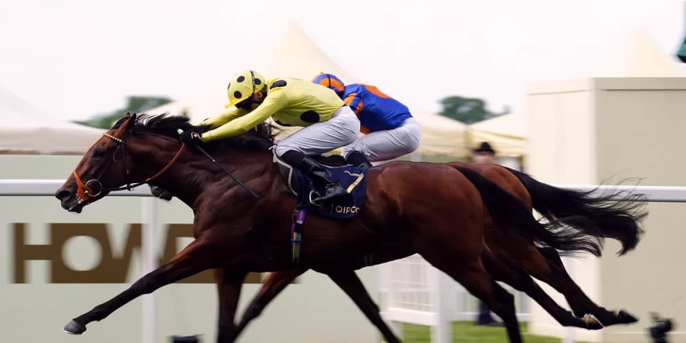 Hannon elects to draw stumps with Rosallion for this year Hannon elects to draw stumps with Rosallion for this year