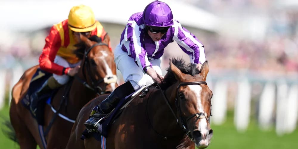 Illinois leading O’Brien’s team for glory in world’s oldest Classic Illinois leading O’Brien’s team for glory in world’s oldest Classic