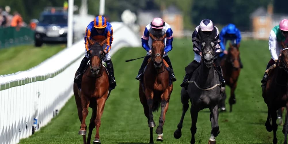 Port Fairy rallies bravely to shade Ribblesdale victory