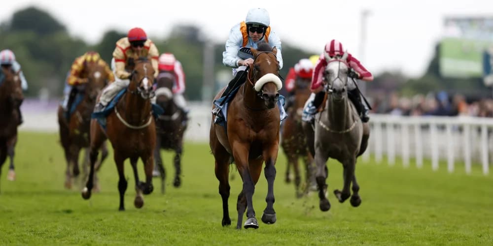 Railway Stakes mission for The Strikin Viking this weekend