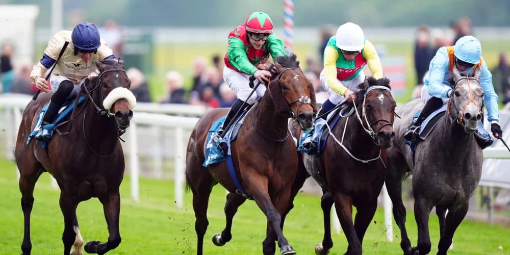 Mill Stream part of Queen Elizabeth II Jubilee field on Saturday