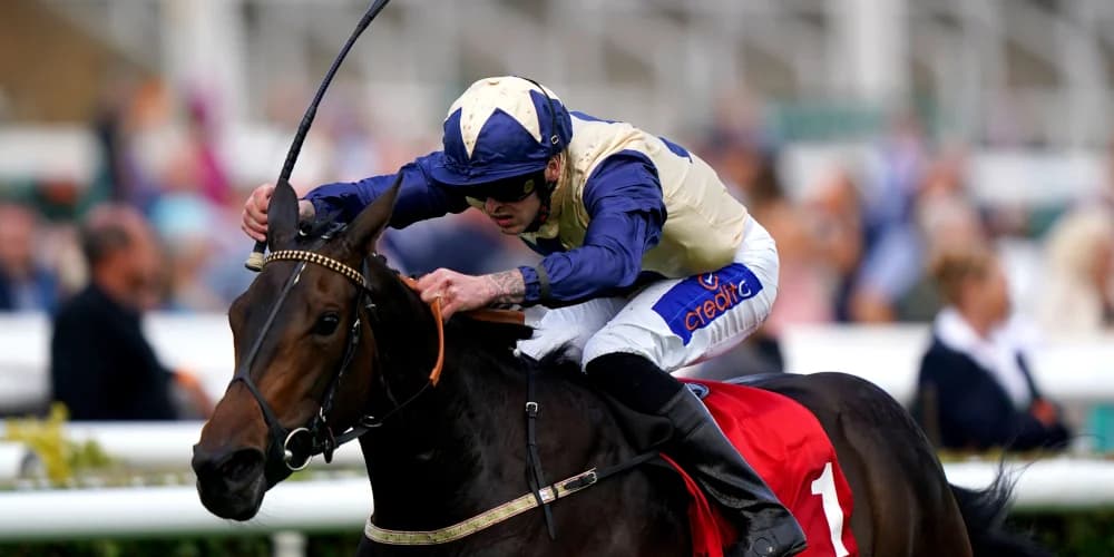 Darnation back on home ground for Hoppings assignment