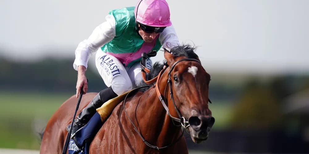 Nostrum set to bypass Haydock in favour of Newbury run Nostrum set to bypass Haydock in favour of Newbury run