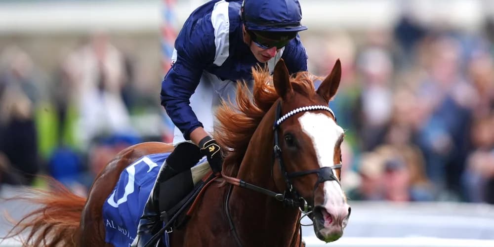 Economics passes his big test with Irish Champion Stakes glory Economics passes his big test with Irish Champion Stakes glory