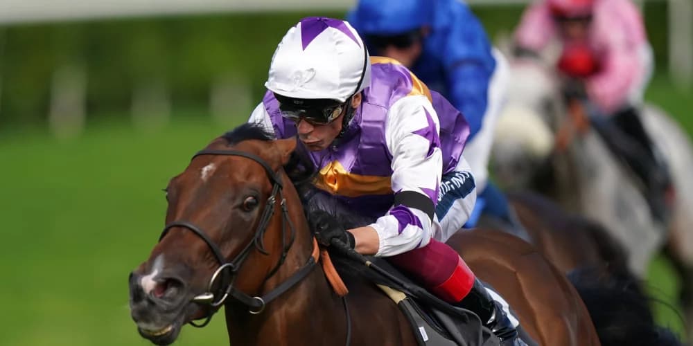 Kinross and Lead Artist doing battle in Park Stakes Kinross and Lead Artist doing battle in Park Stakes