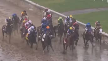 Smart Sensors Cut Fatal Racehorse Injuries by 20% in New Breakthrough Study Smart Sensors Cut Fatal Racehorse Injuries by 20% in New Breakthrough Study