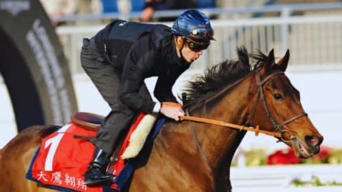 The Brilliant Career of Christophe Soumillon The Brilliant Career of Christophe Soumillon